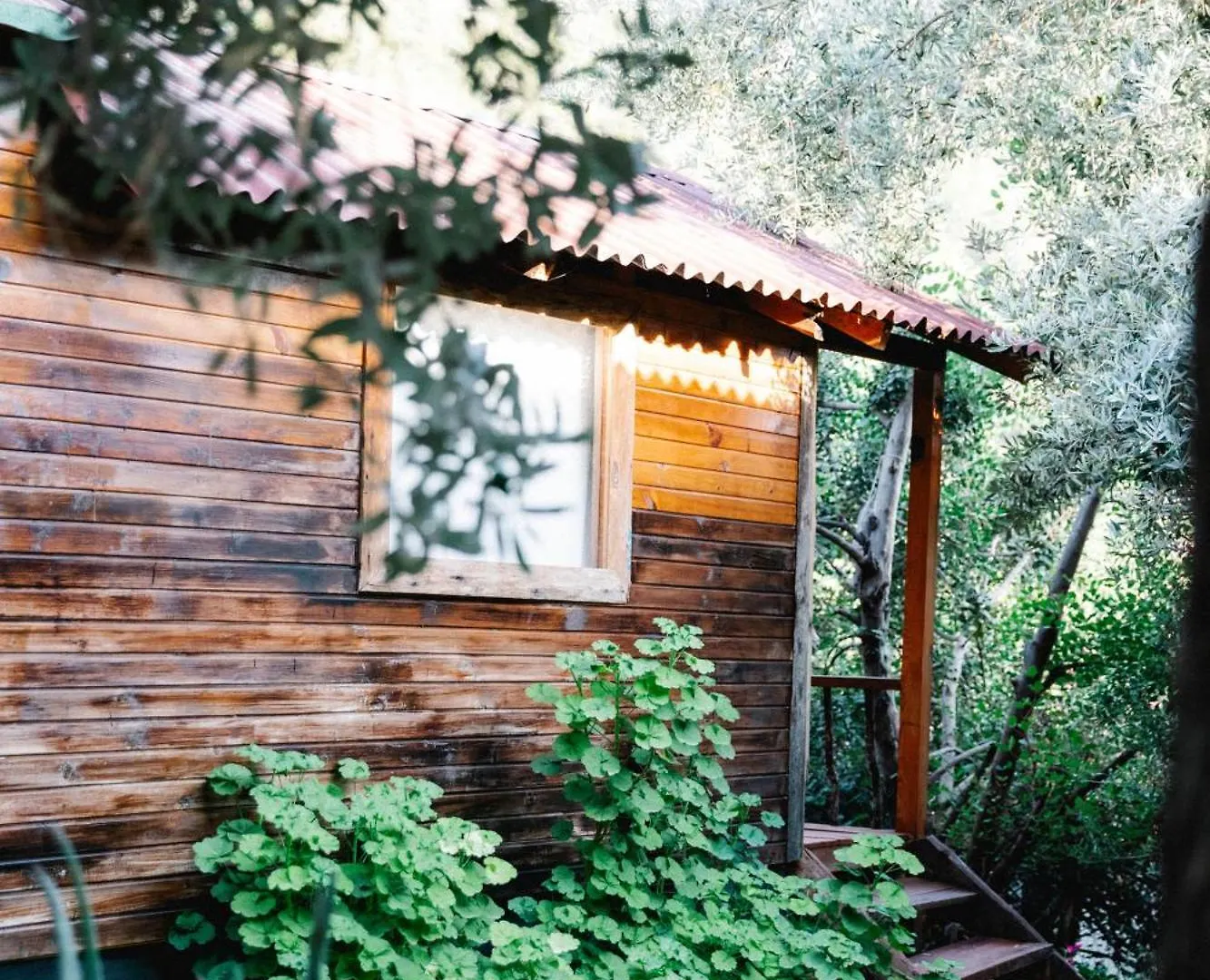 פאטהיה Kaplumbaga Bungalows אתר נופש